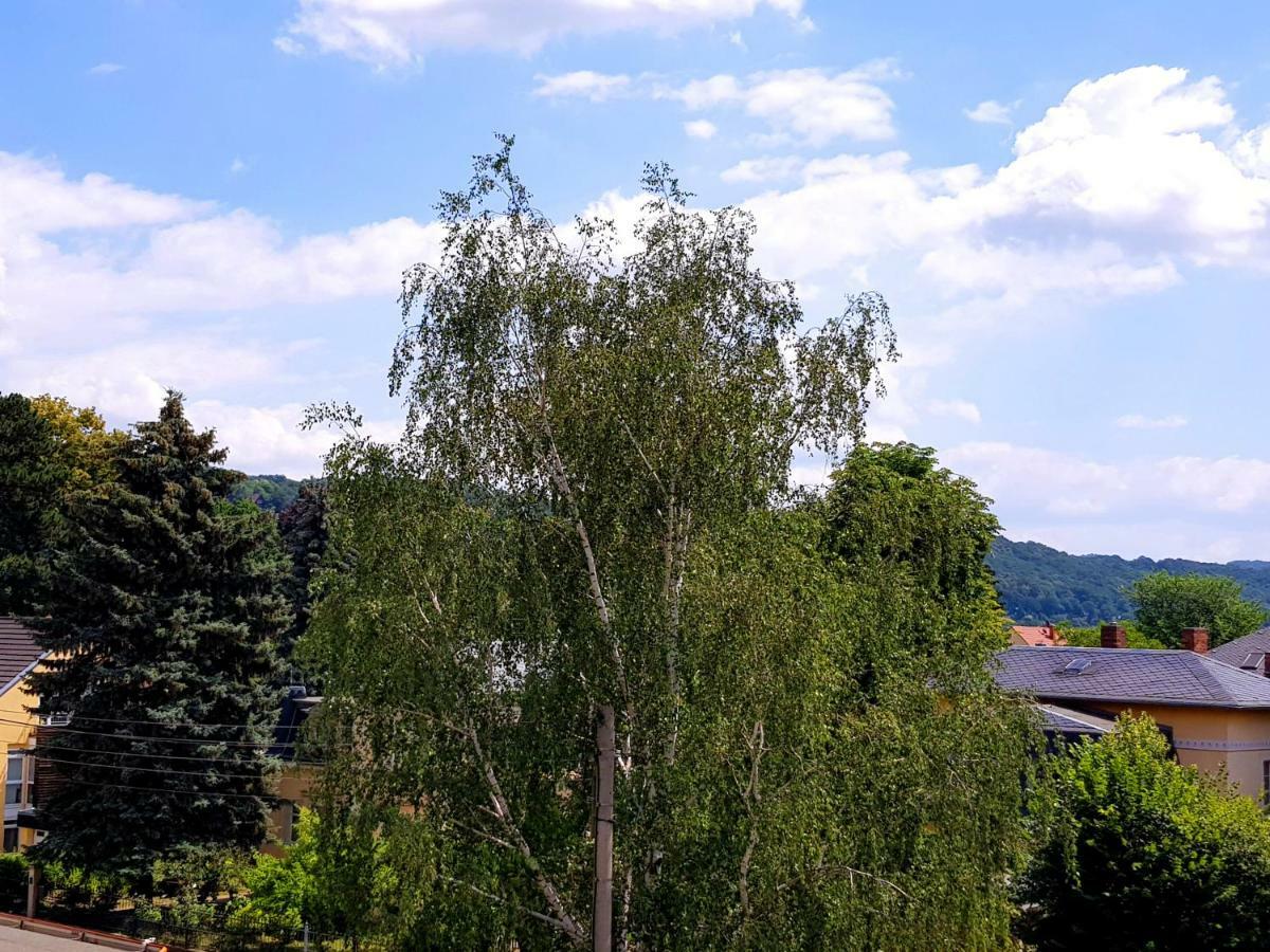 Ferienwohnung Elbhangblick - Fur 2 Personen Dresden Buitenkant foto